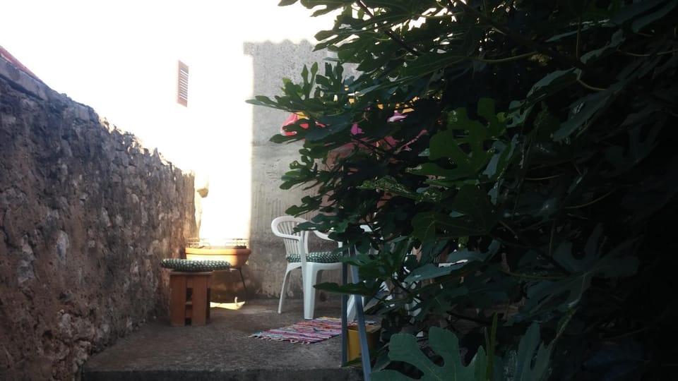 Activities, BBQ facilities, Garden, View (from property/room), Balcony/Terrace, Other, Evening entertainment, Garden view, Entertainment