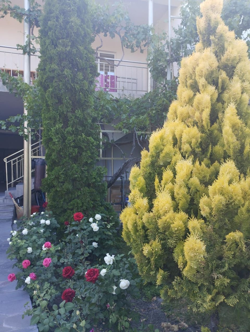 Guest house Hasmik Bed and Breakfast in Armenia