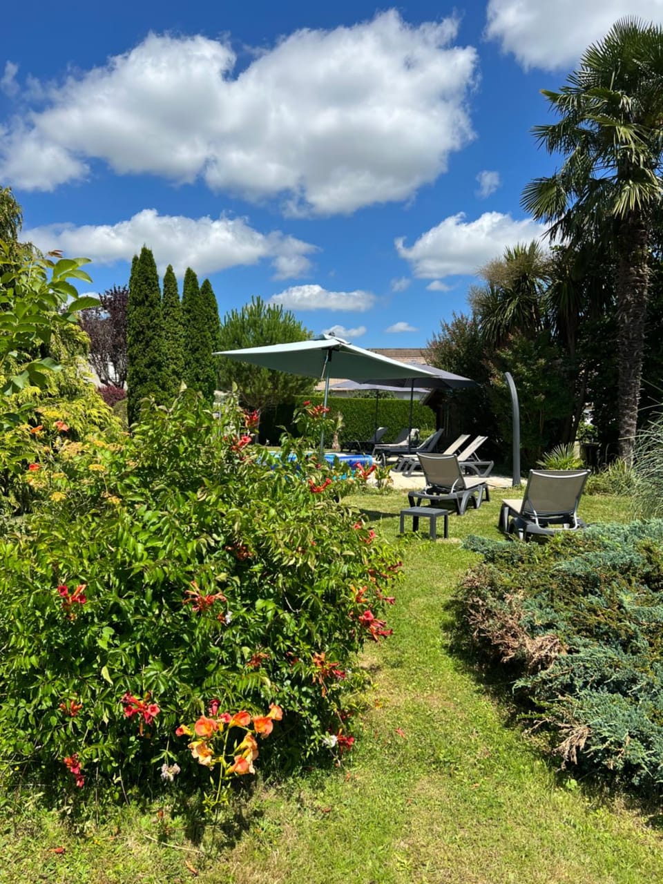 Garden view