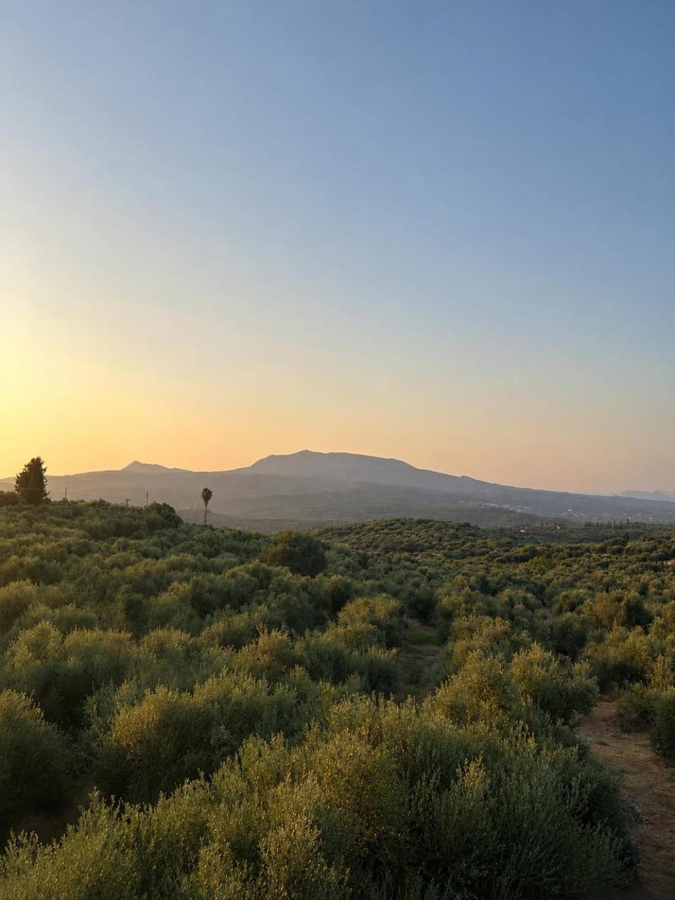 3 ASTERIA Apartment in Messenia