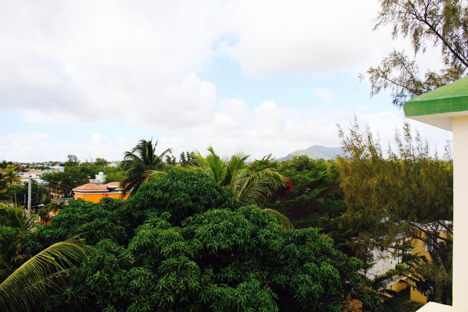 Neighbourhood, Natural landscape, Garden view, Landmark view, Mountain view, Street view