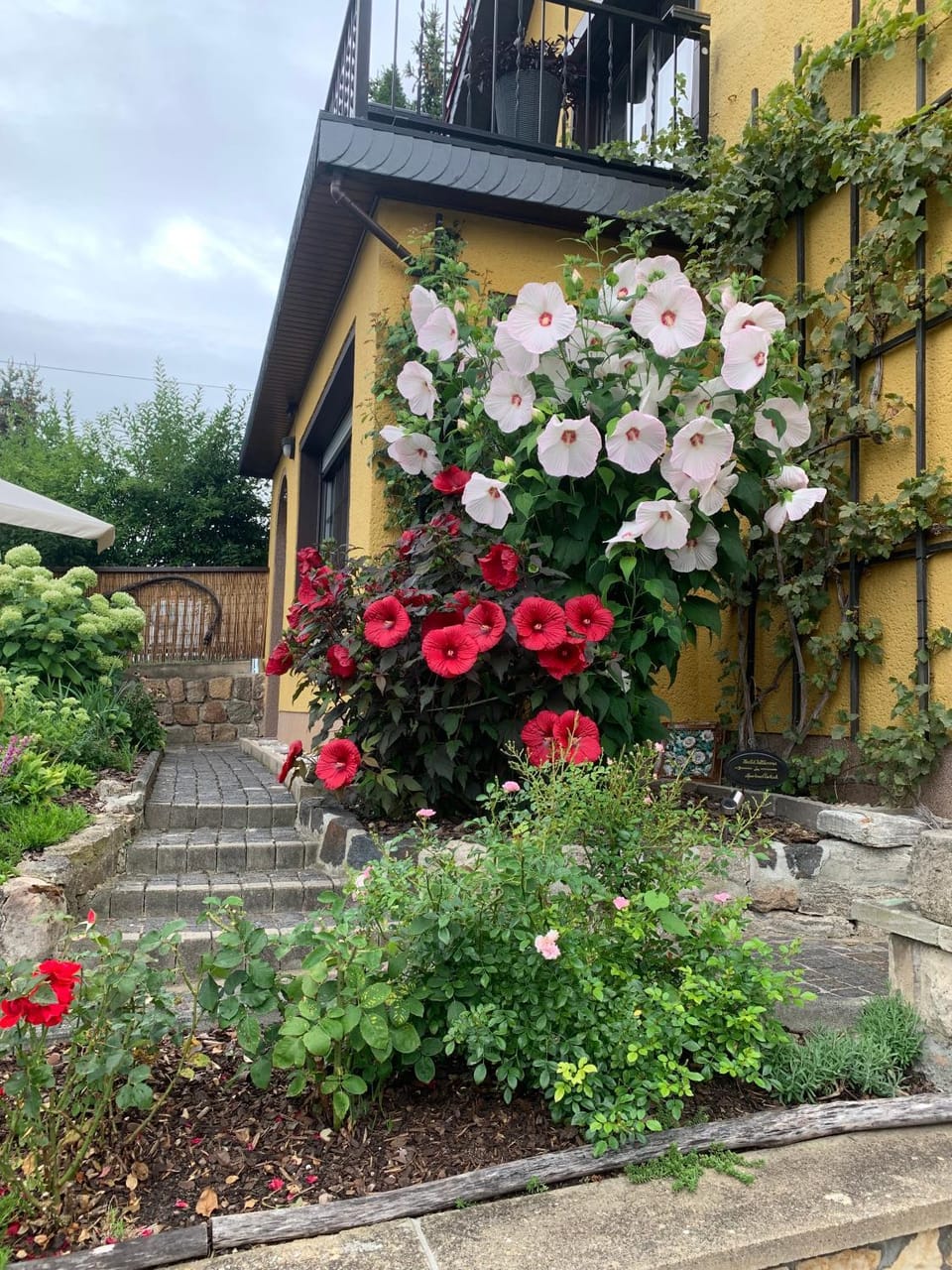 Partzsch Apartment Apartment in Thuringia, Germany