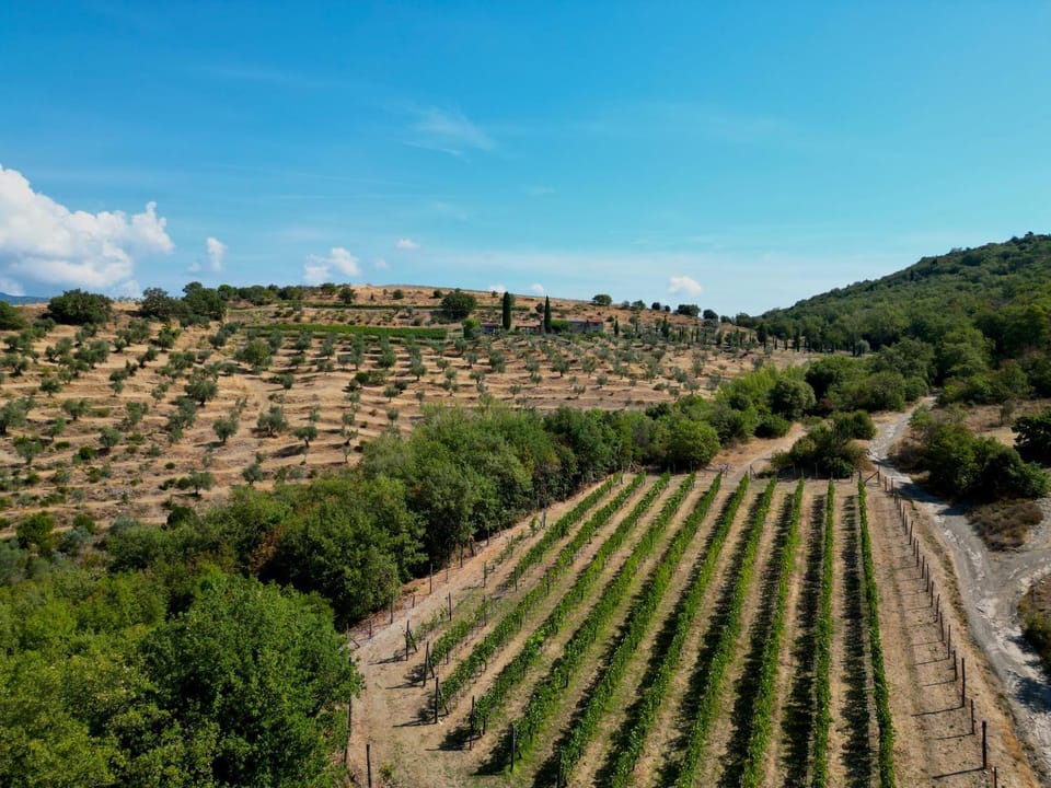 Tenuta Angelici Winery Agriturismo Henni with pool sauna and jacuzzi Cortona Villa in Tuscany