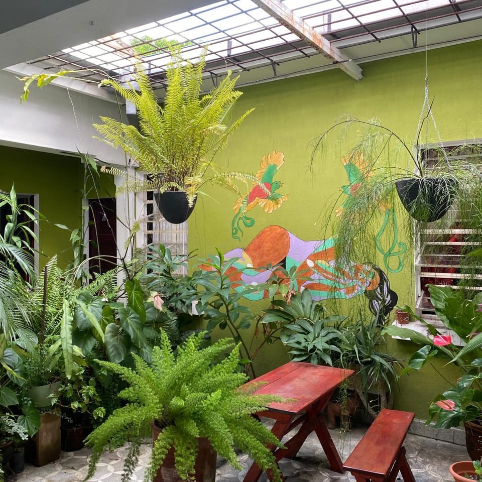 Patio, Day, Garden
