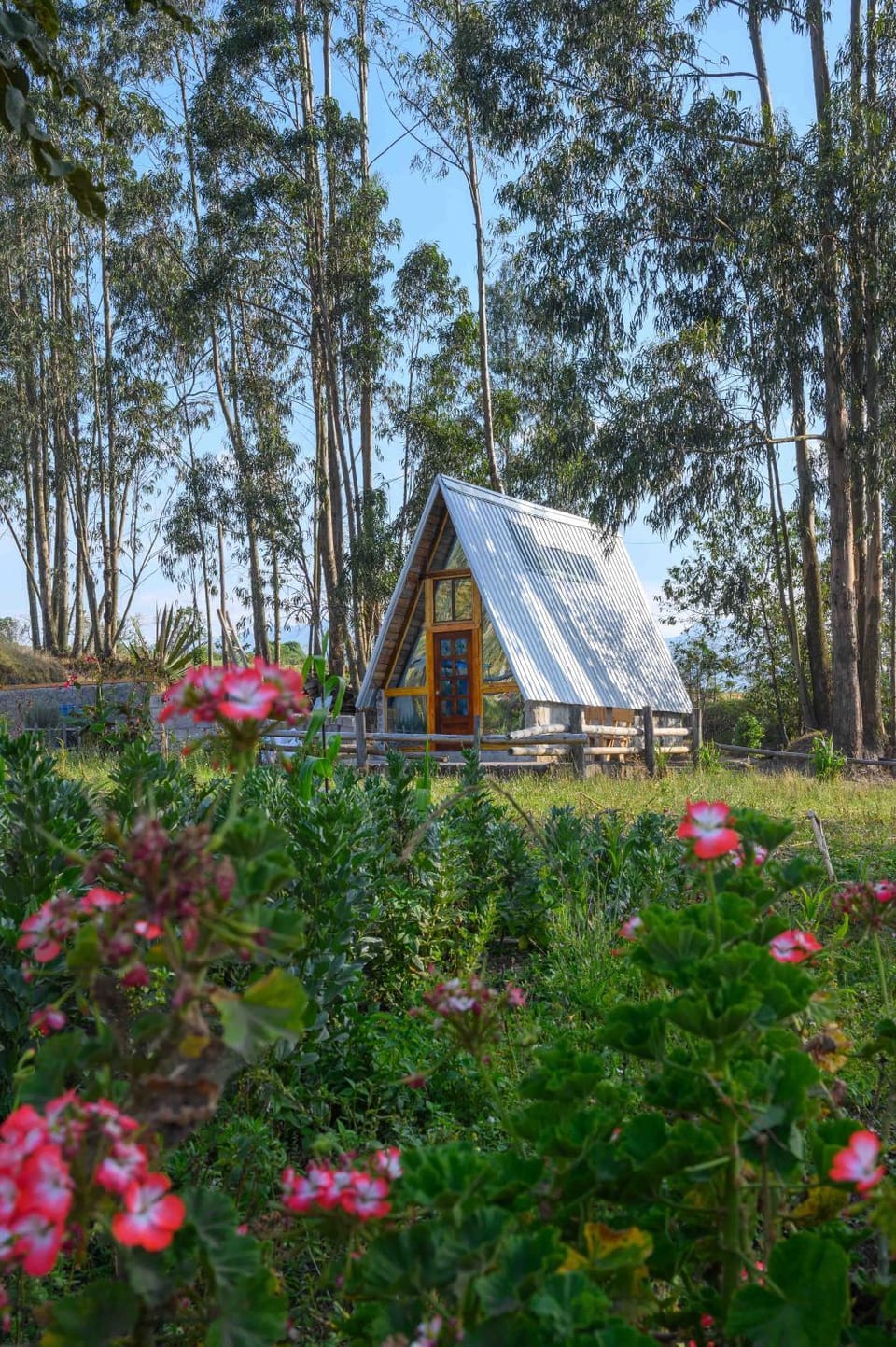Property building, Garden view