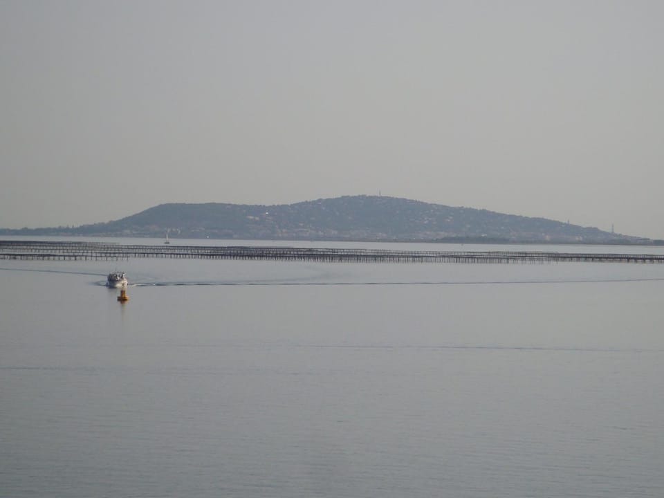 Natural landscape