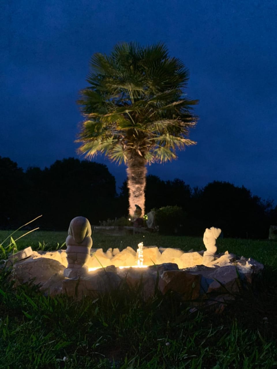 Night, Garden view