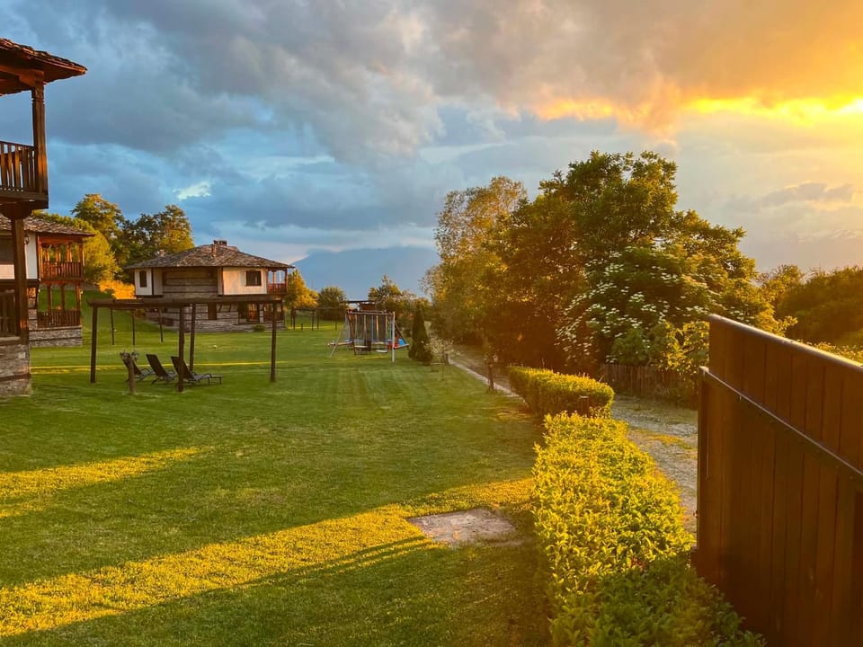 Natural landscape, Garden, Sunset
