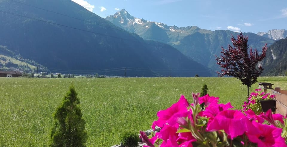 Garden view, Mountain view