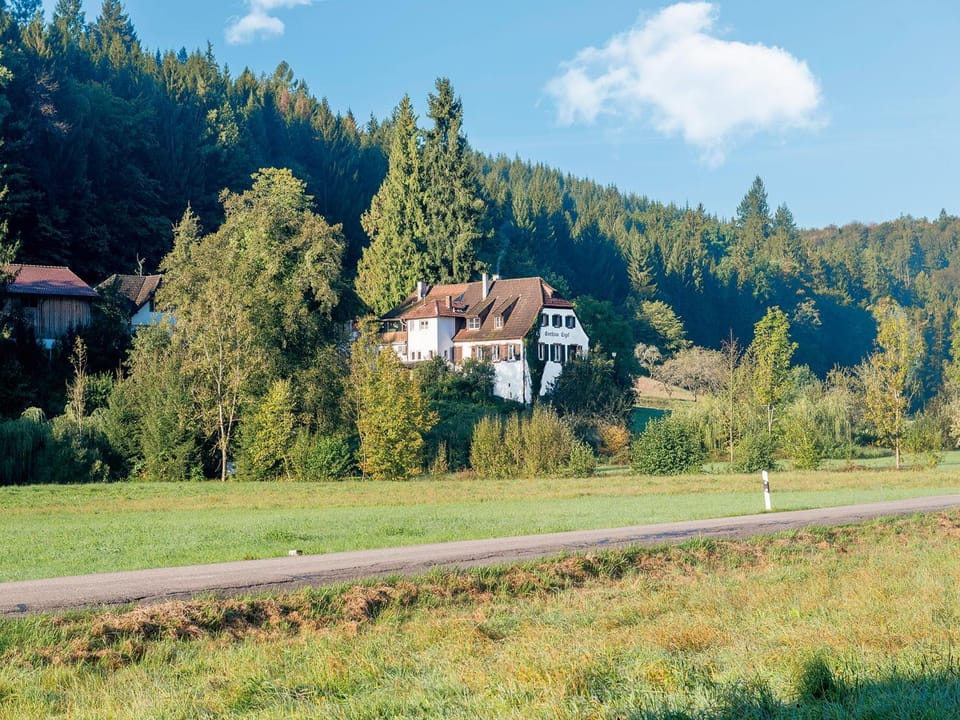 Neighbourhood, Natural landscape, Hiking