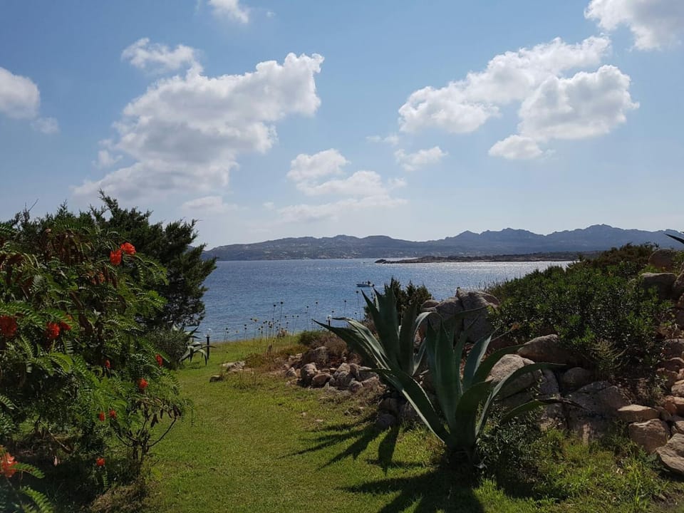 Garden, Garden view, Sea view