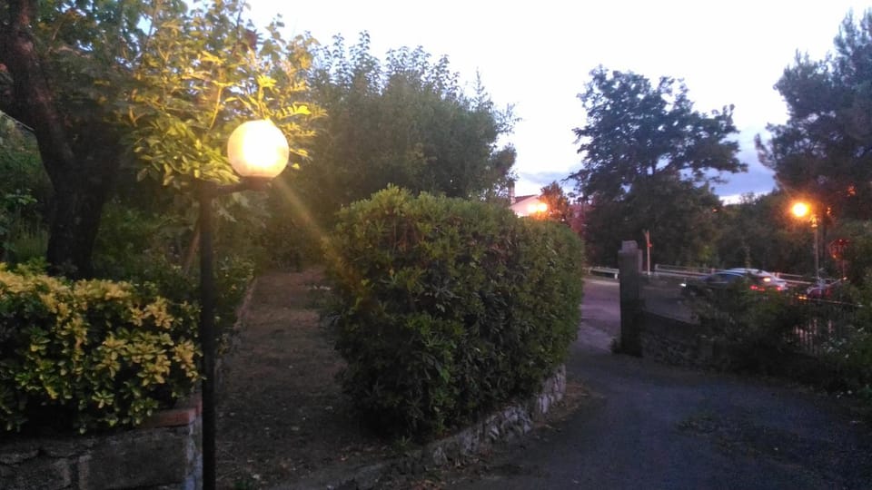Garden, Garden view