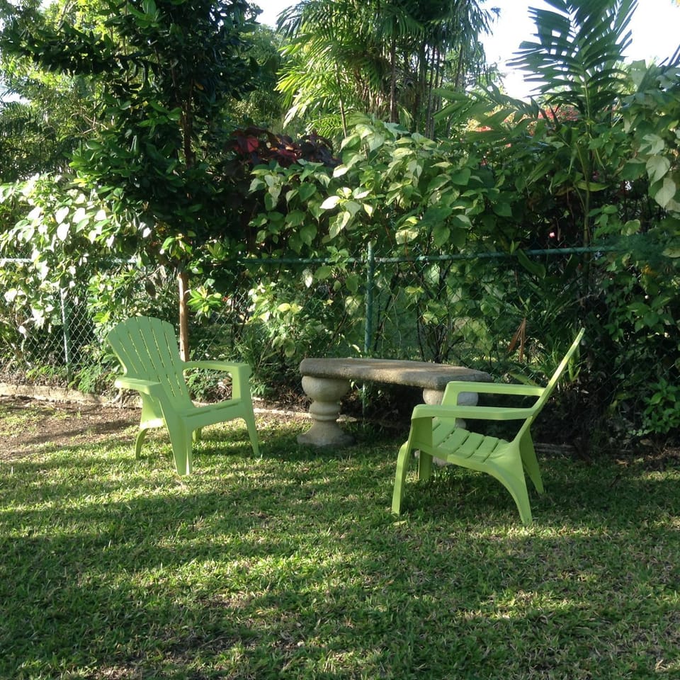Garden view