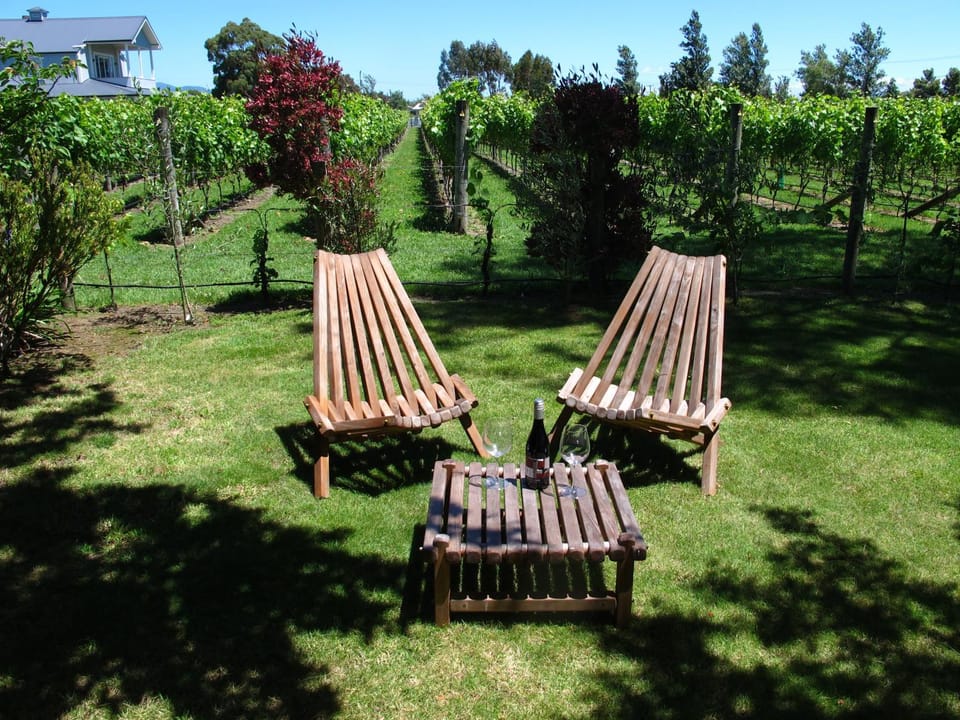 Villa in the Vines House in Martinborough