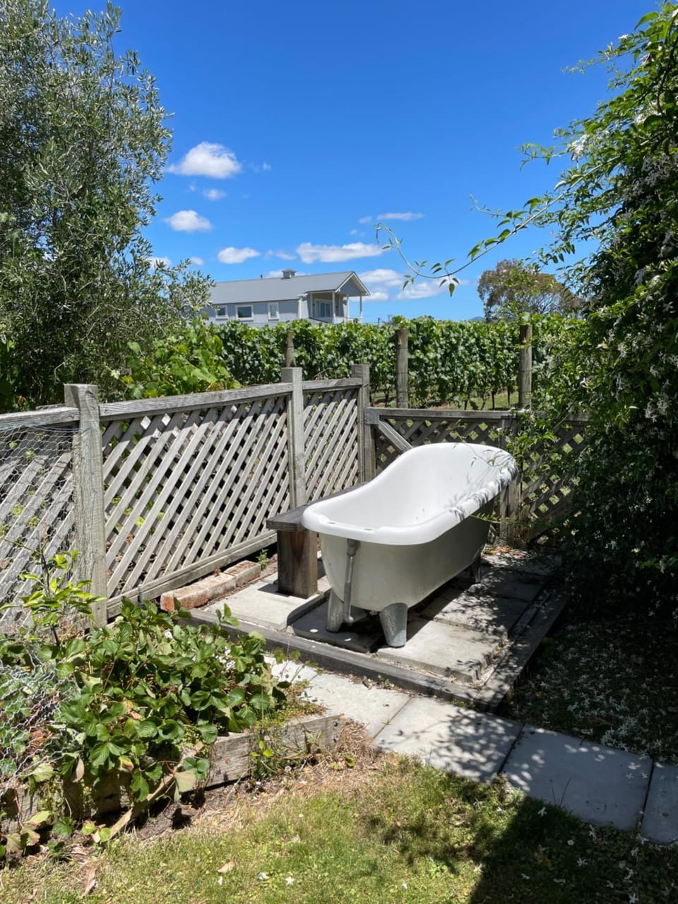 Villa in the Vines House in Martinborough
