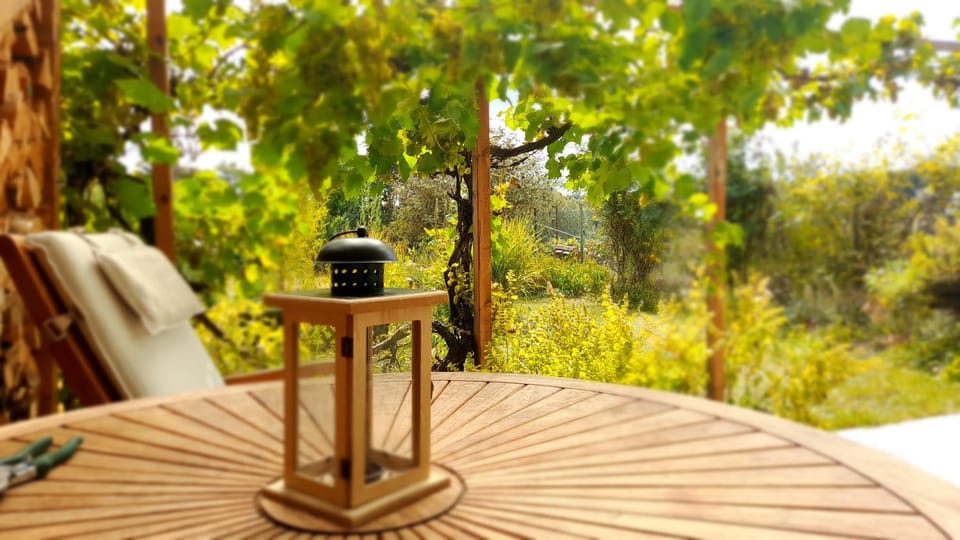 Ubytování Vinohrady 73 Vacation rental in South Moravian Region