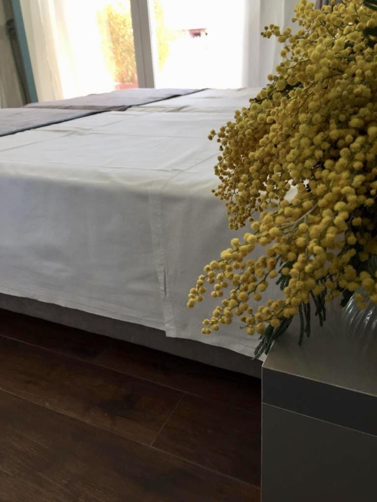Amberyellowbnb Bed and Breakfast in Montenegro