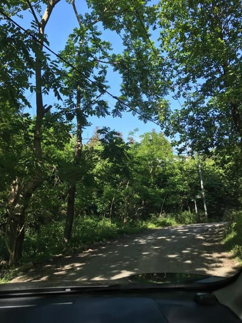 Natural landscape