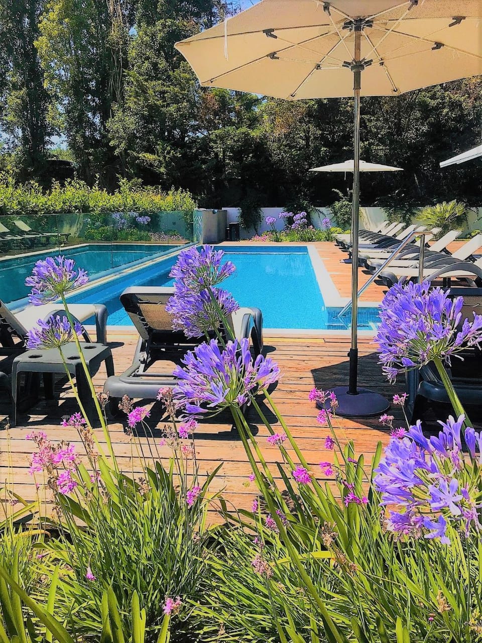 On site, Pool view, Swimming pool