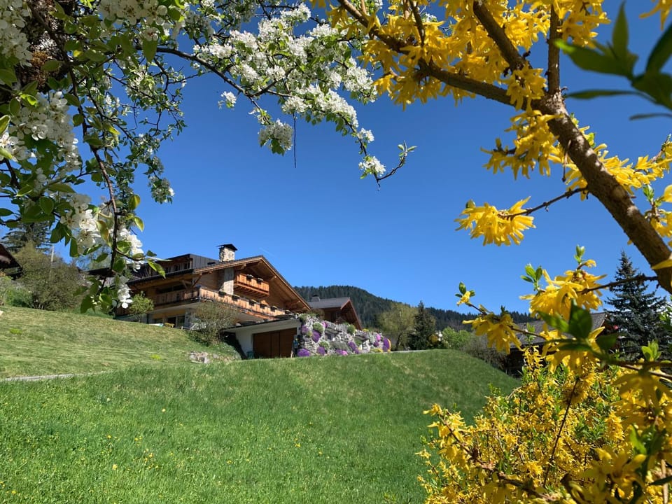 Spring, Natural landscape