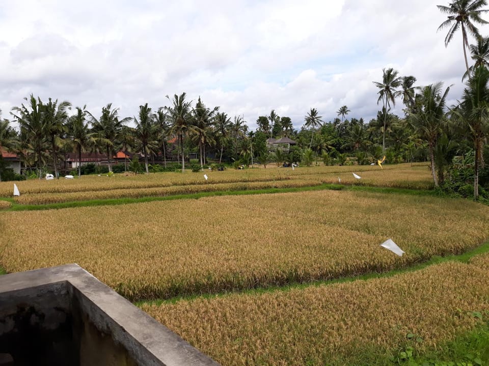 Natural landscape