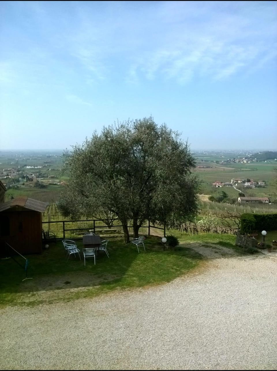 Garden view