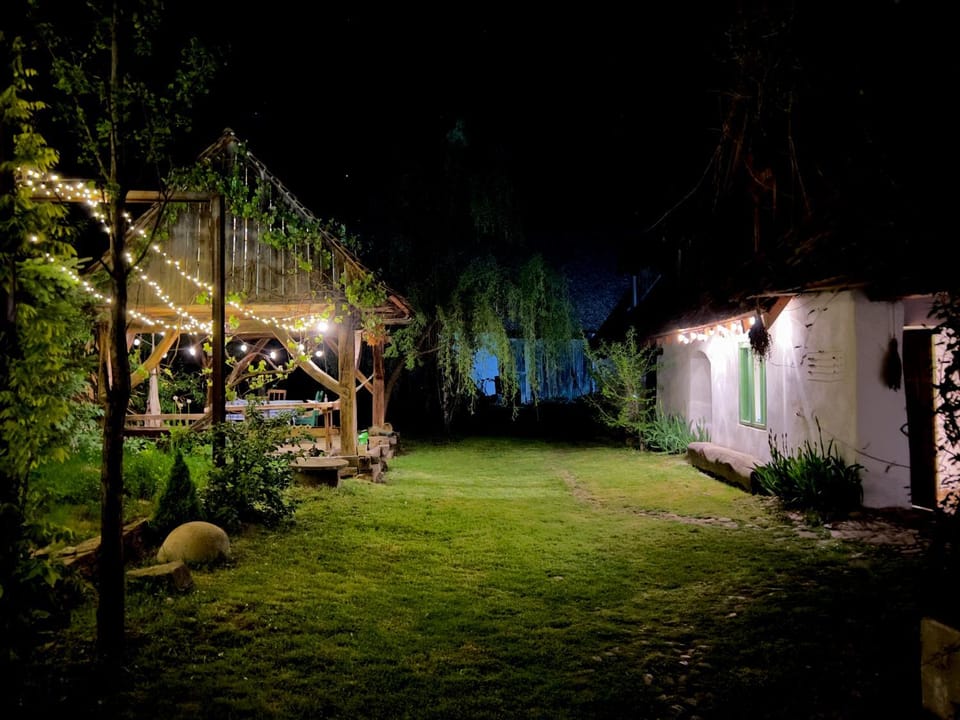 Night, Garden view