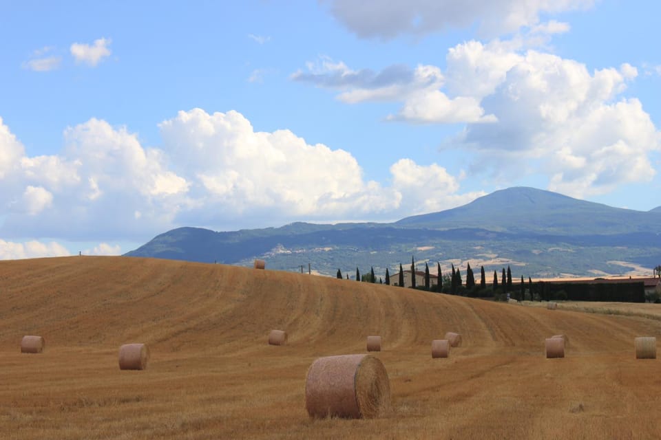 Alla Porta di Sopra Apartment in Tuscany