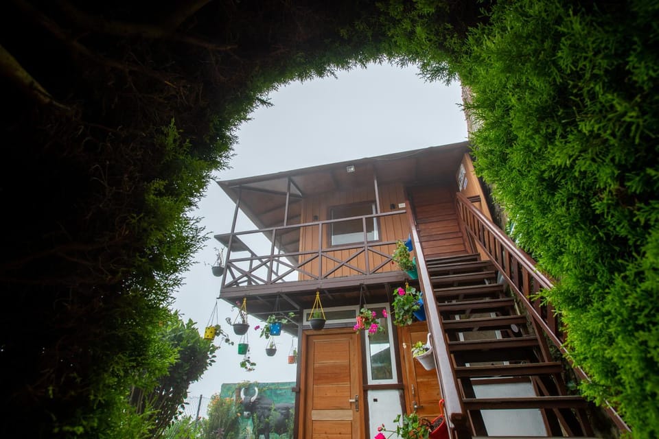 Garden, Garden view
