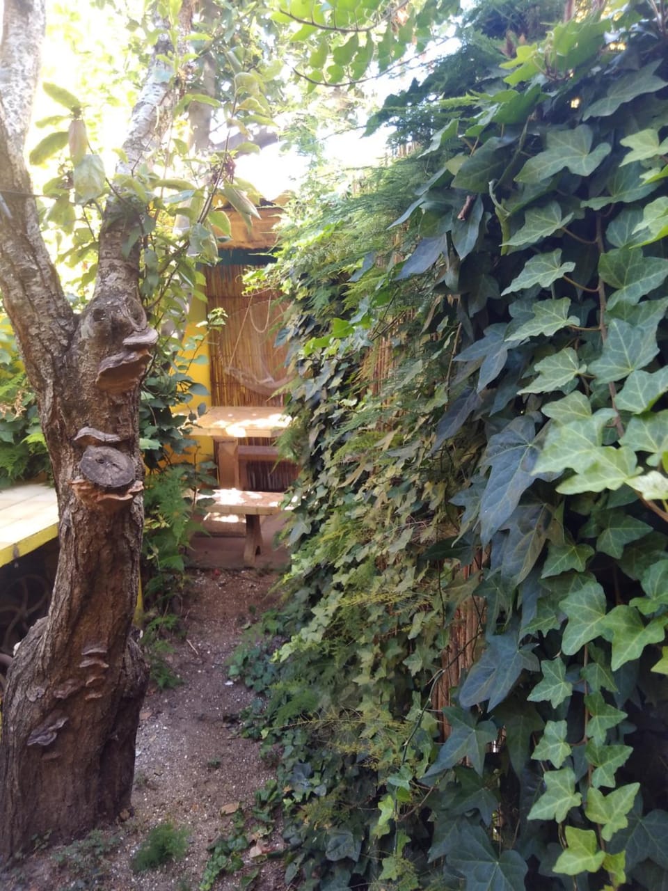 Los Duendes del Mar Nature lodge in San Clemente del Tuyú