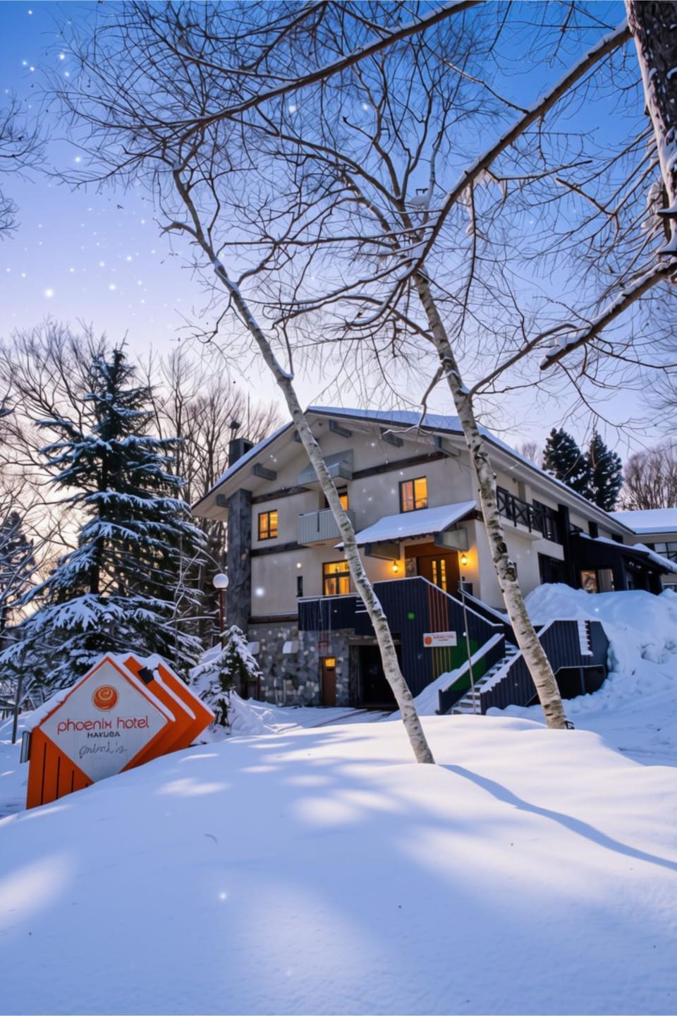 Property building, Winter, Skiing, Inner courtyard view