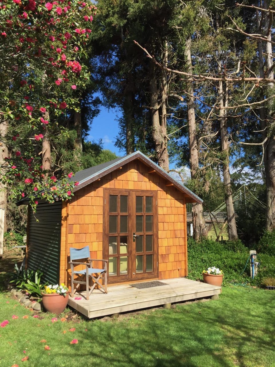 Garden view
