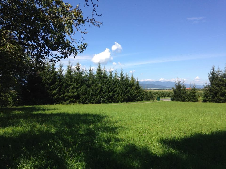 Ferienhaus Murtal House in Styria