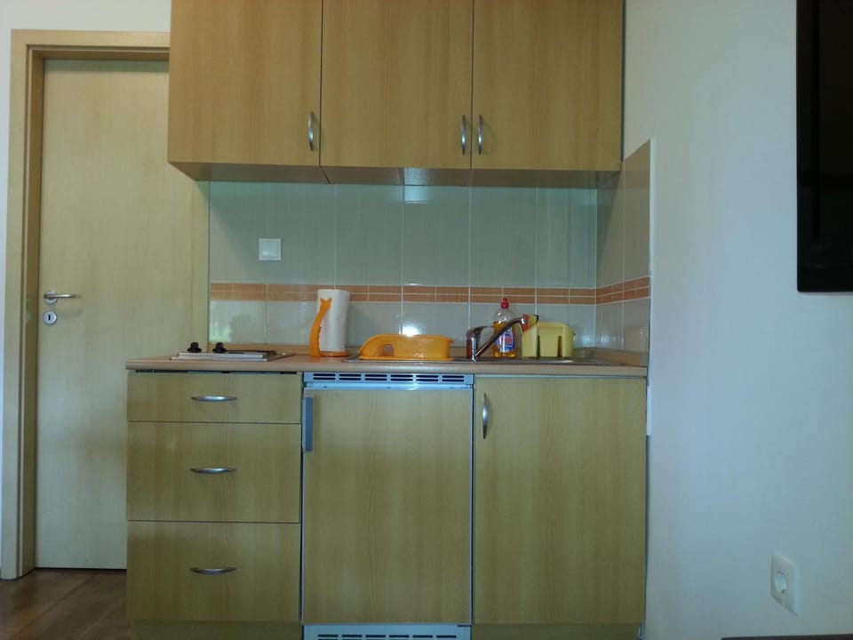 Studio Apartman Kamelija Apartment in Opatija