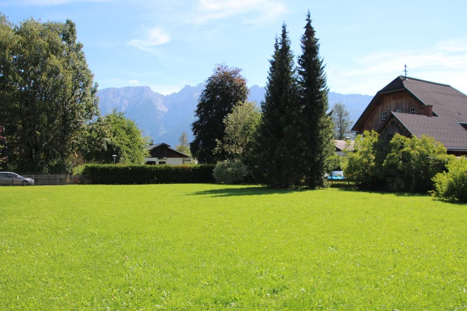 Neighbourhood, Garden