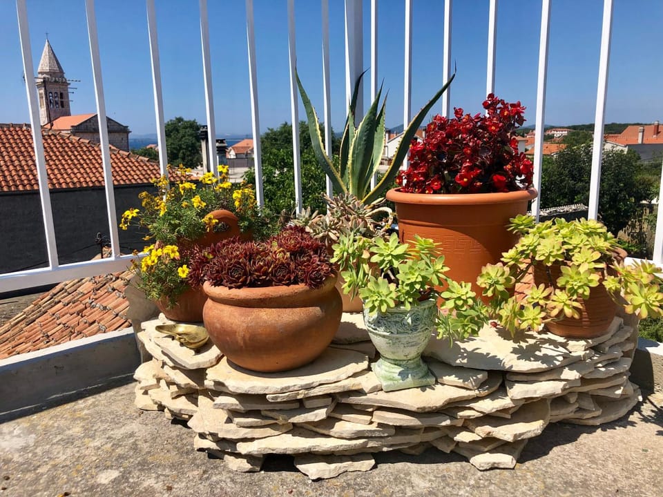 Balcony/Terrace, Balcony/Terrace