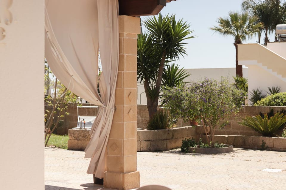 Day, Garden, Garden, Garden view
