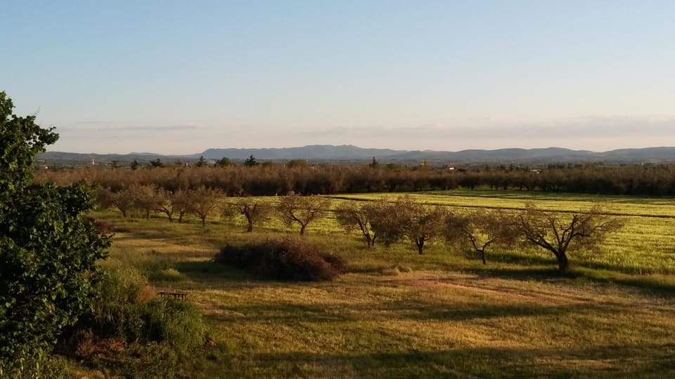 Natural landscape, View (from property/room)