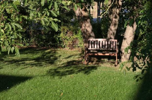 Day, Garden