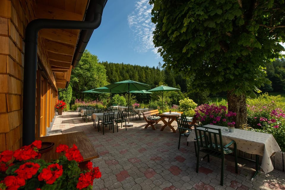 Garden, Balcony/Terrace