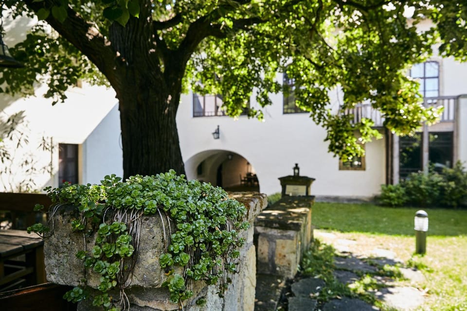 Barta Pince Rákóczi Lakosztályok Bed and Breakfast in Slovakia