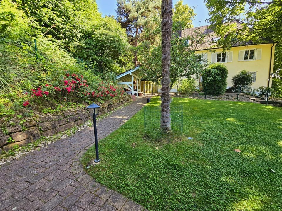 Garden, Garden view