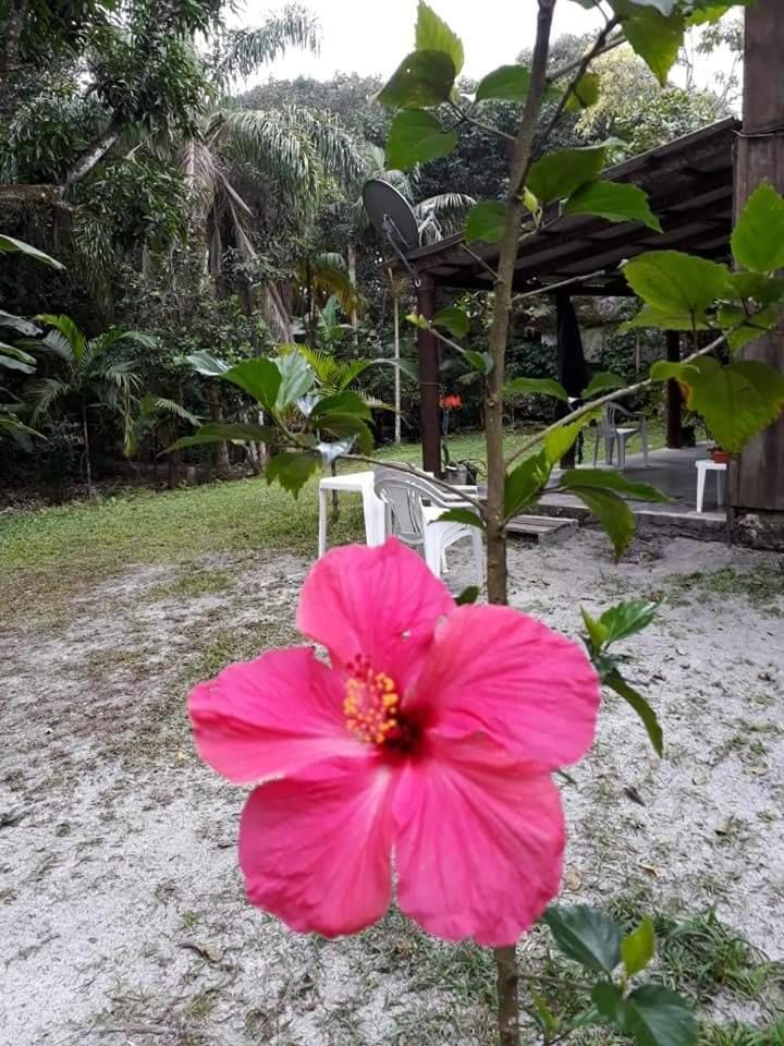 Recanto da Kaká Bed and Breakfast in State of Paraná