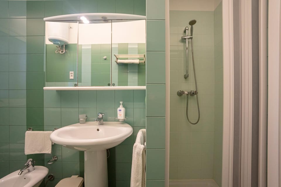 Shower, Toilet, Bathroom, towels