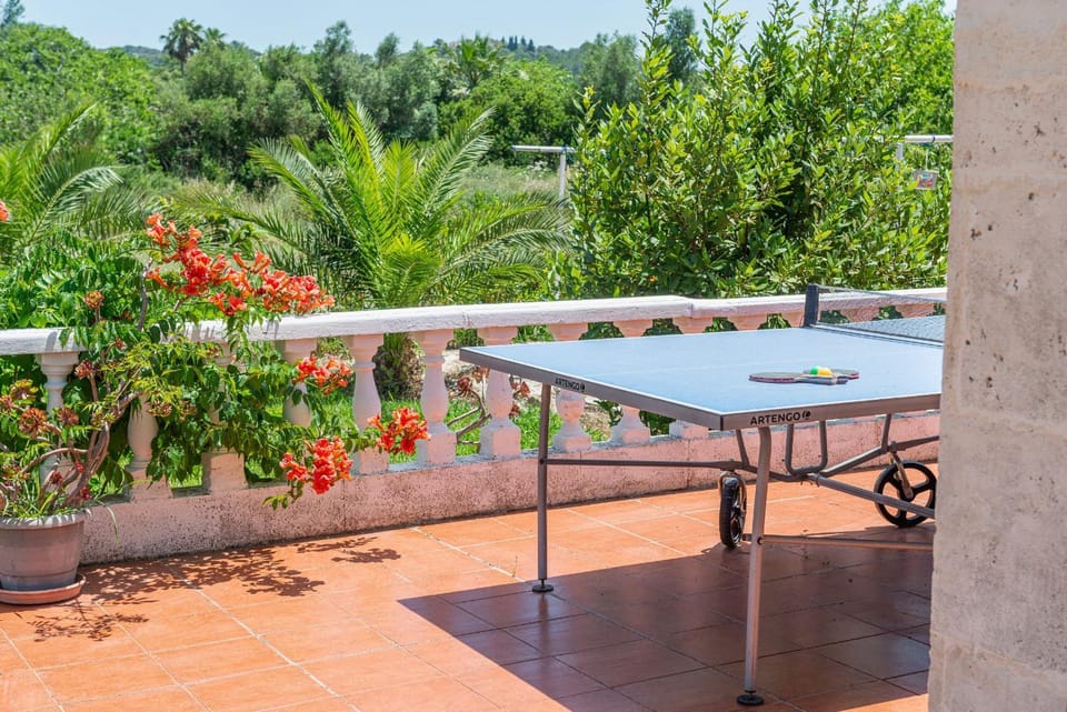 Table tennis