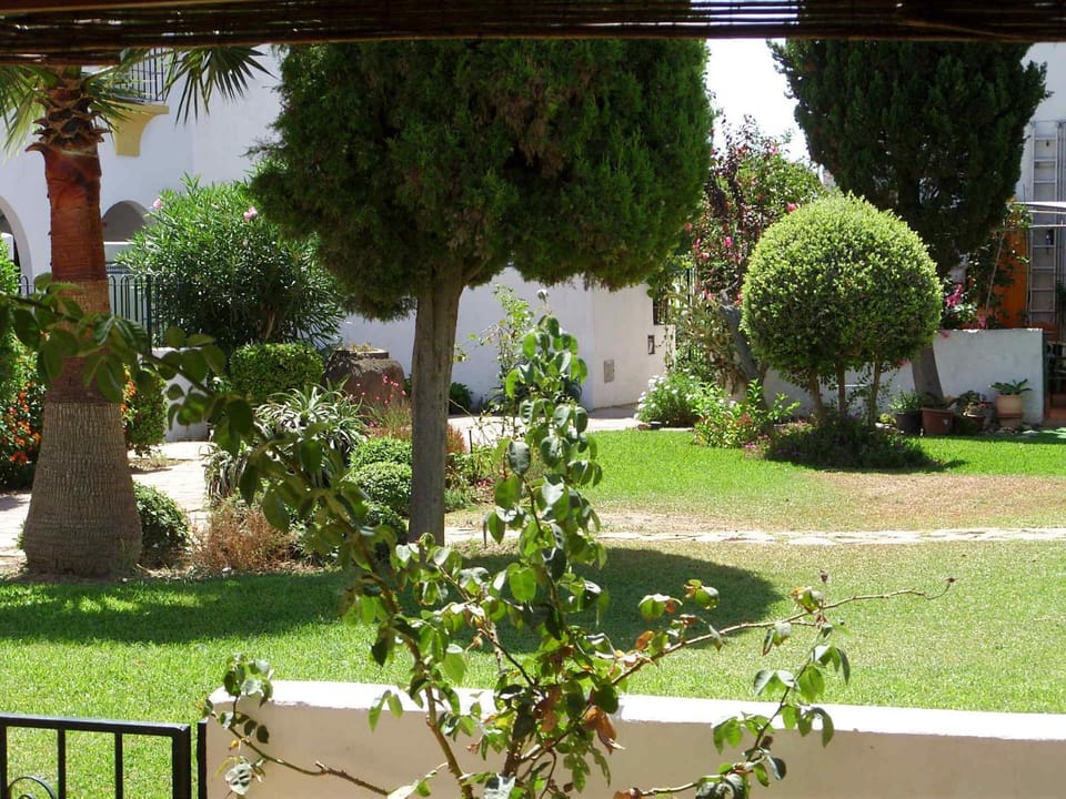 Garden, Balcony/Terrace, Garden view