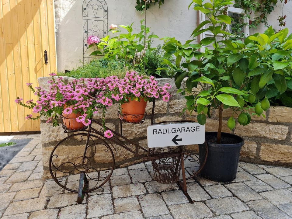 Garden, Balcony/Terrace, Decorative detail, Garden view