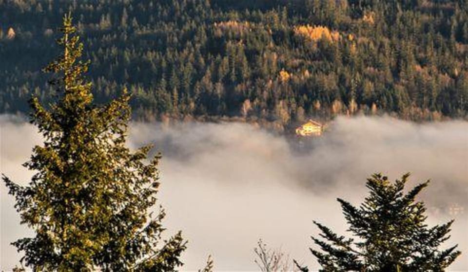 Natural landscape