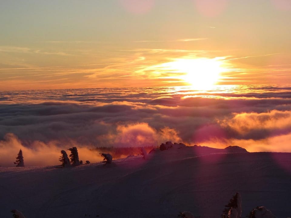 Pension Waldblick Bed and Breakfast in Bavaria