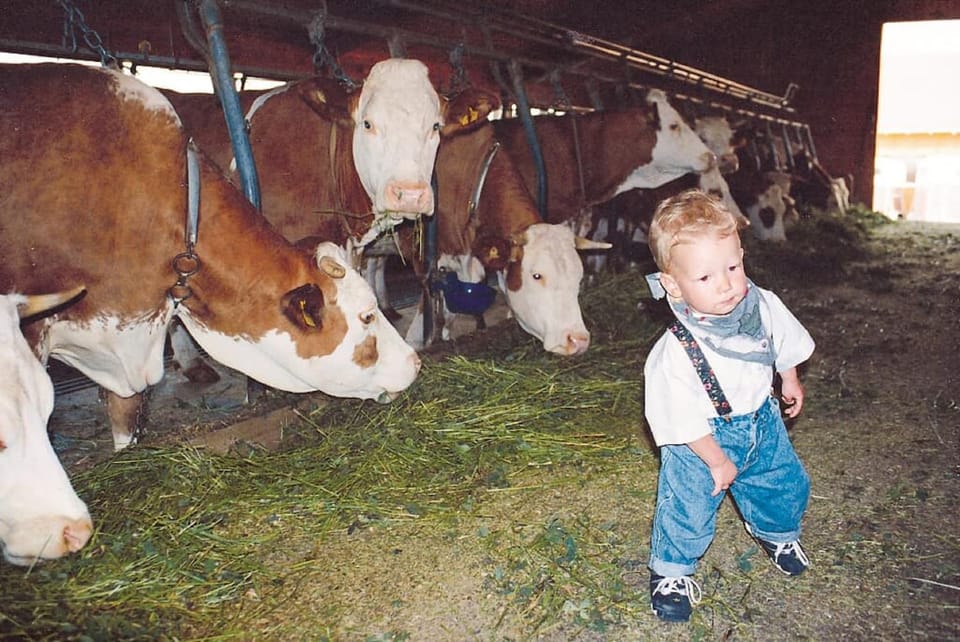 Animals